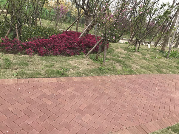 碩景環(huán)保仿石磚，您值得擁有